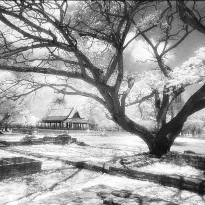 กลับมาเห็นภาพนี้อีกที คิดอยากกลับไปอยุธยาอีกครา..  แต่ตอนนี้ ตัวยังไปไม่ได้ ให้ภาพเก่าเราพาไปพลางก่อน 