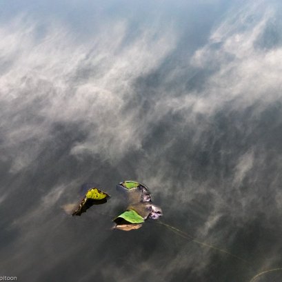 ๑ ม.ค. ๒๕๖๑