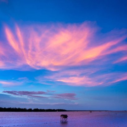 ตอนเด็กๆ เคยใฝ่ฝันว่าจะมีบ้านอยู่ท่ามกลางสายน้ำ