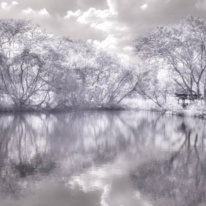 สีสันแม้ไม่สดใสเท่า แต่ก็ให้บรรยากาศชวนฝันสบายไปอีกแบบ ปีใหม่นี้..แม้ปกคลุมด้วยความระแวงว่าจะติดโควิดเพิ่มเยอะหรือไม่ ก็ไม่ใช่ว่าเราจะสดชื่นไม่ได้...