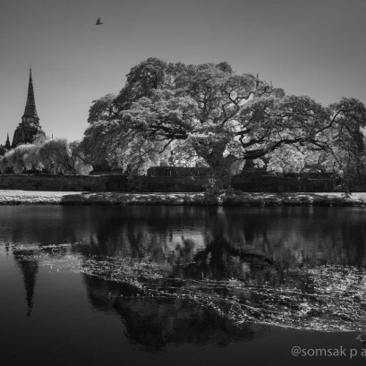 ย้อนดูตัว