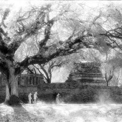 ตรุษจีน 2560