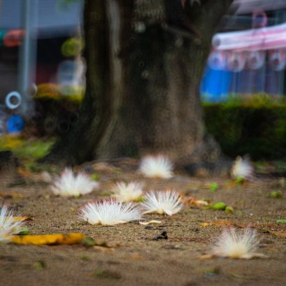 มากระบี่กี่ครั้งไม่เคยผิดหวัง