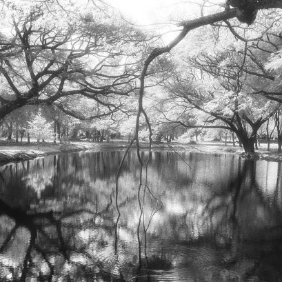 เย็นกาย เย็นใจ