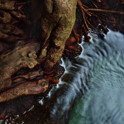 รุกขะ เทวะ 