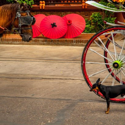 คิดว่า  เขาคิดว่า อีกเขากำลังคิดว่า หรือ เรากำลังคิดว่า....