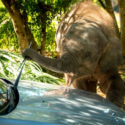 คิดว่า...   อีกวิถีของการใช้ชีวิต.....