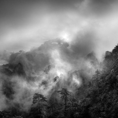 ขุนเขา แมกไม้ แล สายหมอก...  ฉบับขาวดำ.. 