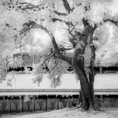 วันหนึ่ง ณ จังหวัดชัยนาท..  #infrared #blackandwhhite #digital #ชัยนาท