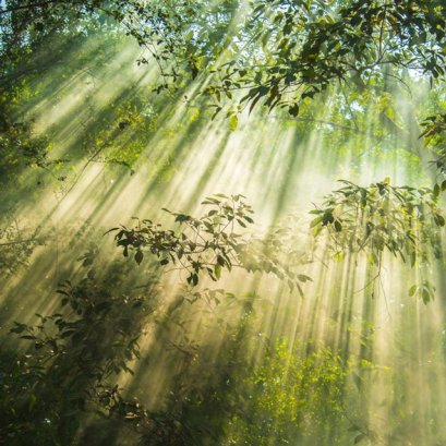 ตอนถ่ายภาพใหม่ๆ ได้ยินคำว่า "แสงสวย" ก็งง