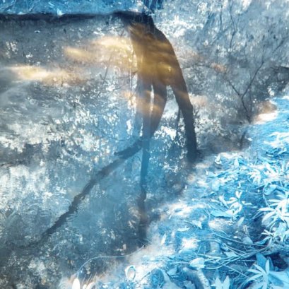 ส่วนนึงของงาน เทศกาลภาพถ่ายนานาเชียงใหม่