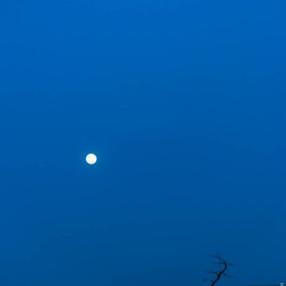 การสนทนาระหว่างพระจันทร์กับต้นไม้บนเต้นท์ดาวพลูโต 