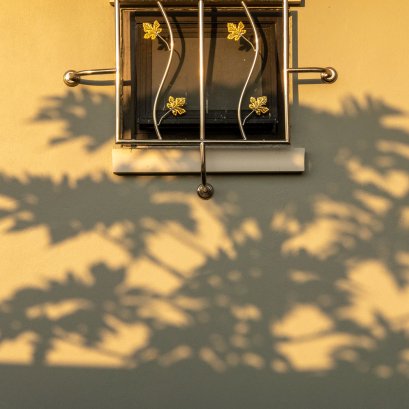 ไม้น้อยในกรงทอง  #series #ภาพจากกล้องมือถือ #มีกล้องในมือดีกว่าไม่มีกล้องใดๆเลย #แต่หากเลือกได้ยังไงก็ขอมีกล้องและเลนส์ดีๆในมือ