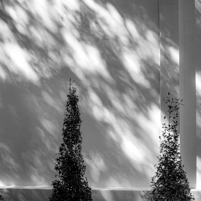 วัดร่องขุ่นเจ้า ...  #series #ภาพจากกล้องมือถือ #มีกล้องในมือดีกว่าไม่มีกล้องใดๆเลย #แต่หากเลือกได้ยังไงก็ขอมีกล้องและเลนส์ดีๆในมือ