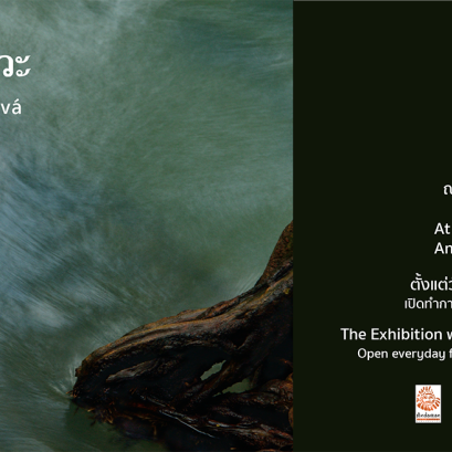 งานนิทรรศการภาพถ่าย “รุกขะ เทวะ” โดย สมศักดิ์ พัฒนพิฑูรย์ ณ ศูนย์การเรียนรู้วัฒนธรรมอันดามัน จ. กระบี่ วันที่ 28 และ 30 มีนาคม 2562