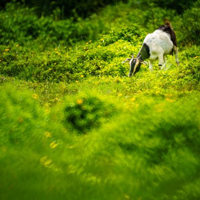 ณ เกาะกลาง จังหวัดกระบี่ ไม่ไปไม่รู้  #เกาะกลาง #krabi #กระบี่