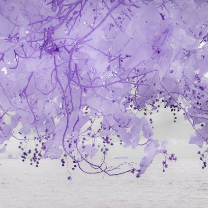 ทำไมผลงานชุด #มณีอันดามัน ต้องถ่ายที่หาดนพรัตน์ธารา