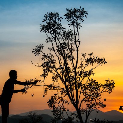 แสงแห่งชีวิต