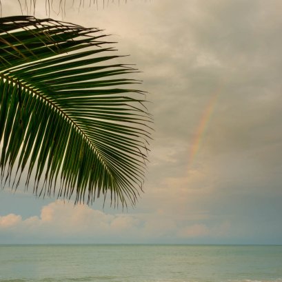 ถ่ายเมื่อไปจันทบุรีคราวที่แล้ว ครั้งนี้กลับไปอีกครั้ง จะไปถามเขาว่า รุ้งกินน้ำวันนั้นสวยไหมครับ...