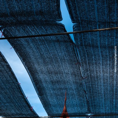 โบยบิน...  