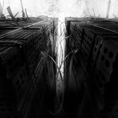 อิฐสร้างเมือง เมืองสร้างอิฐ