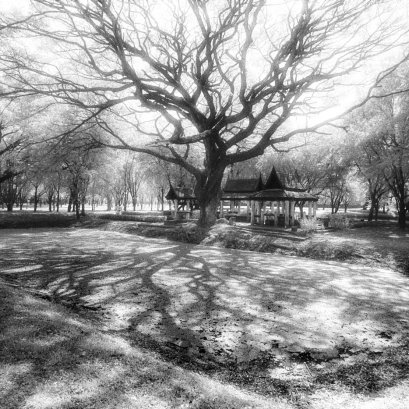 จากภาพในชุด "สุโข+ไท"