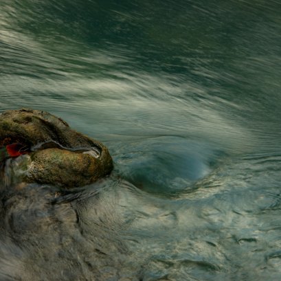 หลายคนอาจสงสัยว่า "รุกขะ เทวะ" ใช้เทคนิคถ่ายภาพอย่างไร