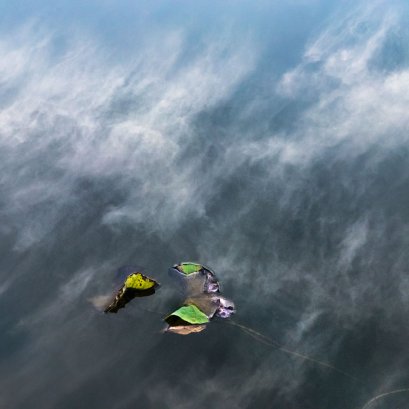 บัว โบย บิน