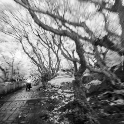 เวลาเราไปถ่ายภาพ ควรไปคนเดียวหรือหลายคนดี ?