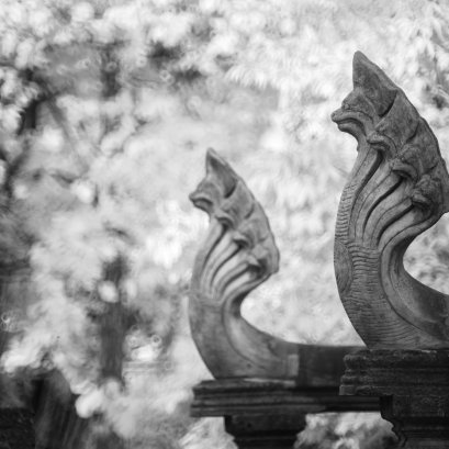 ไปโคราช แต่ด้วยข้อจำกัดหลายอย่าง