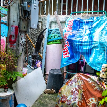 เมื่อจะต้องถ่าย ต้องบันทึกภาพได้เลย