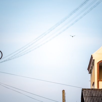 เกิดความคิดที่จะนำเส้นสายเข้าเชื่อมโยงกับจักรยาน