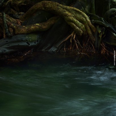 ก่อนจะเป็น “รุกขะ เทวะ”