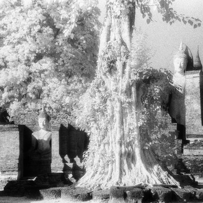 ภาพที่แยกเก็บไว้.....