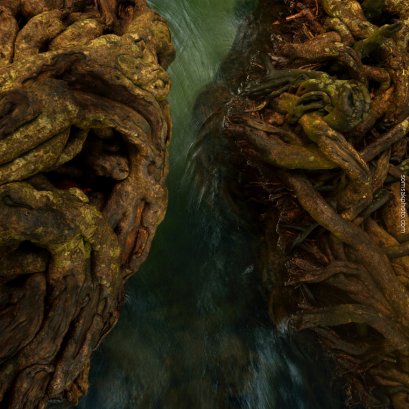 เป็นอีกภาพที่ได้จากการถ่าย ที่ท่าปอม คลองสองน้ำ