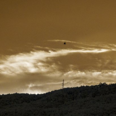 ความงามเหนืออ่างแก้ว เชียงใหม่  #เชียงใหม่ #infrared