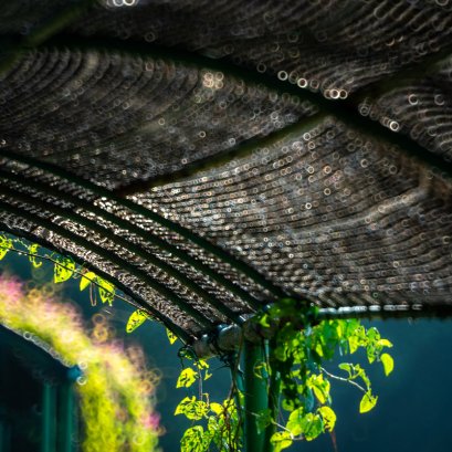 สถานที่ที่ดีย่อมมีส่วนทำให ้ได้ภาพที่ดี คำกล่าวนี้ ไม่เกินเลยความจริง และผ่านการพิสูจน์มาอย่างยา วนาน