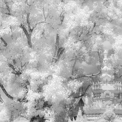 สมมติ น่ะครับ สมมติ หิมะตก ณ เชียงราย ....