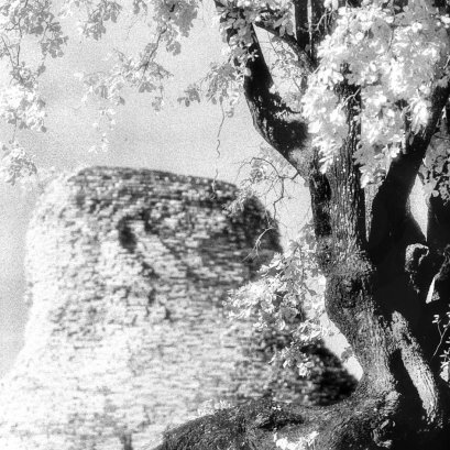 ไม่ใช่แค่ผลของใบไม้เปลี่ยนเป็นสีขาว