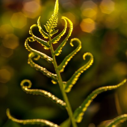  บันทึกย้อนหลัง...พ.ศ.2553