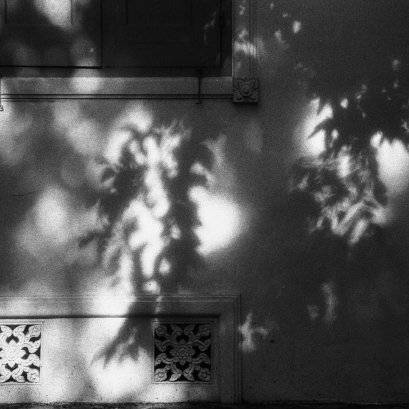 หน้าต่างสู่ความร่มรื่น  ในชุด ผลงาน เมืองกรุง เมืองเทพ  #infrared #film