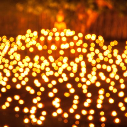 ถ่ายภาพนี้เมื่อสิบปีที่แล้ว ทำให้เรียนรู้ว่า  "ความผิดพลาดและการสร้างสรรค์มีเส้นบางๆคั่นอยู่เท่านั้น สามารถสลับกันไปมาได้ด้วย ขึ้นกับว่า ผู้ถ่ายภาพจะพูดยังไง"...