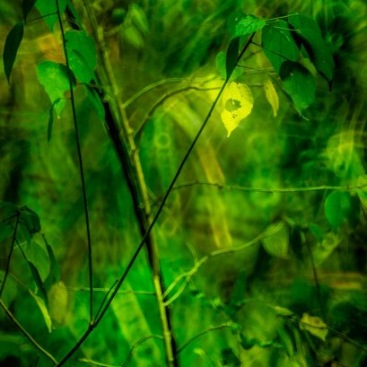 เมื่อขาดเป็นรู ชวนให้เราได้เห็นความงามของอีกด้านหนึ่ง