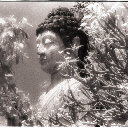 ระลึกถึงวันที่ไปยืนถ่ายภาพด้วยกล้องฟิล์ม ณ เมืองโบราณ