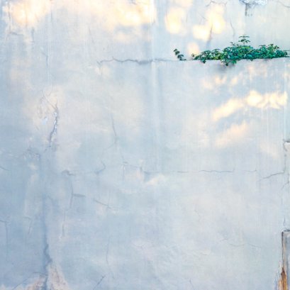 ลำดับ ชั้น แห่งการเติบโต