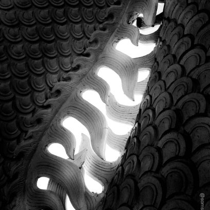 ท่ามกลางคมเขี้ยว