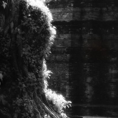 ราก ฐาน ไทย  จากผลงานชุด สุโข+ไท  #สุโขทัย #infrared #film