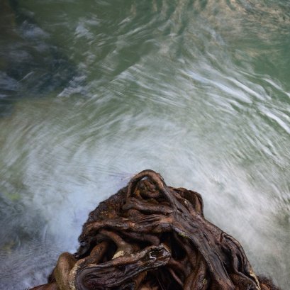 แต่ทันทีที่ชื่อภาพ เสมือนไม่มี เช่น รุกขะเทวะ 1 ก็คือ ตรงข้ามกับกรณีแรก