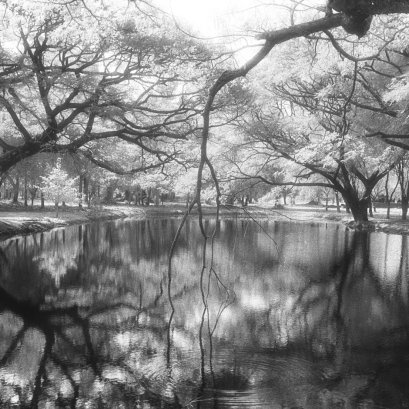 เย็นกาย เย็นใจ สุขสันต์วันสงกรานต์  ๑๓ เมษายน ๒๕๖๒  #สุโขทัย #infrared #film
