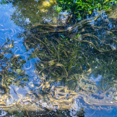 ความงามยากลืมเลือน ณ ท่าปอม กระบี่